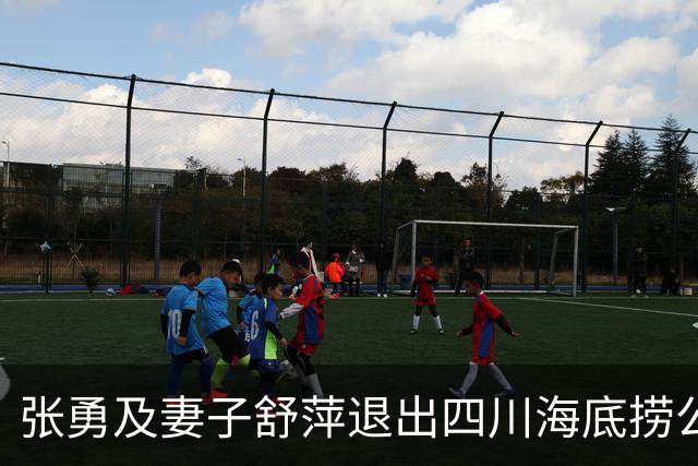 张勇及妻子舒萍退出四川海底捞公司董事会，控制权未变